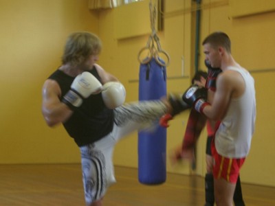 Sanda/Sanshou sparren