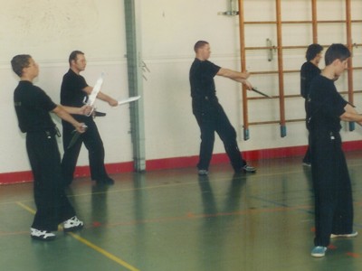 Wing Chun mesvorm training